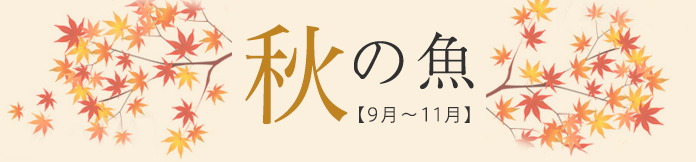 秋の魚【9月〜11月】