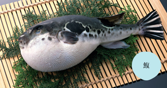 旬の魚 大阪 上本町 ほてい鮨