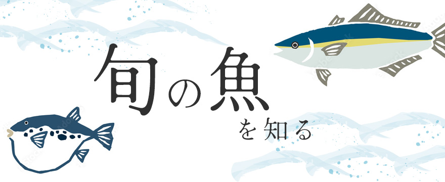 旬の魚
