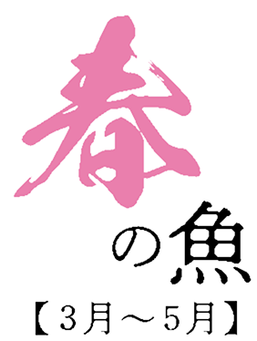 春の魚 3月〜5月