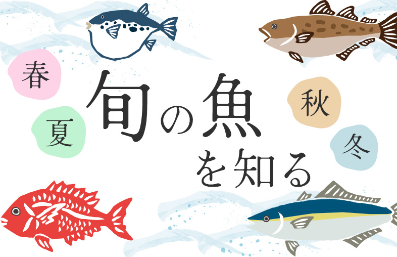旬の魚を知る