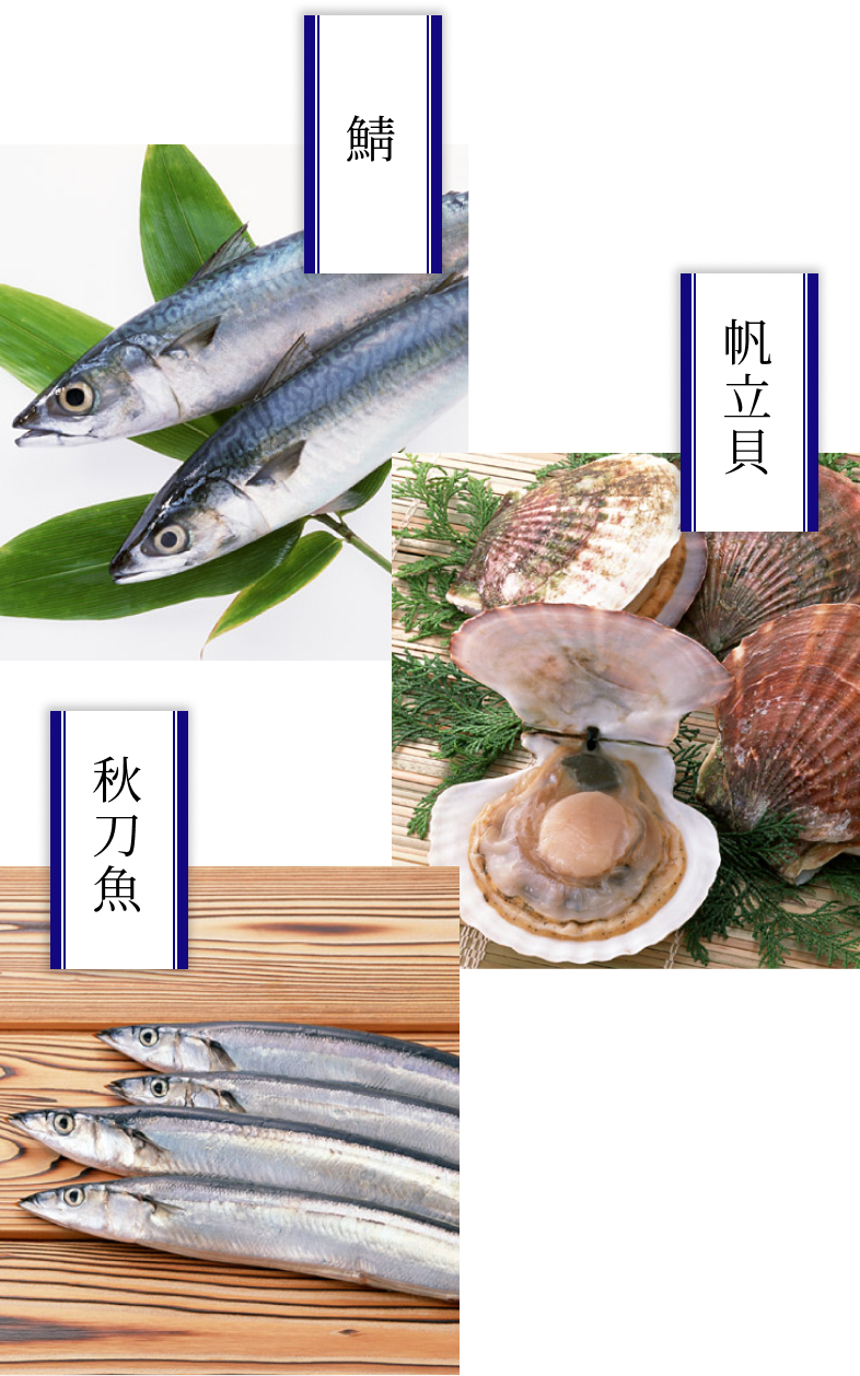 秋の魚 9月〜11月