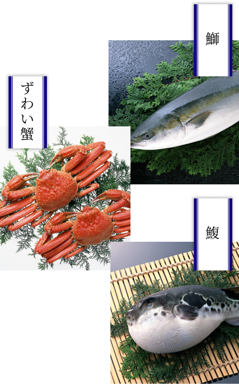 冬の魚 12月〜2月